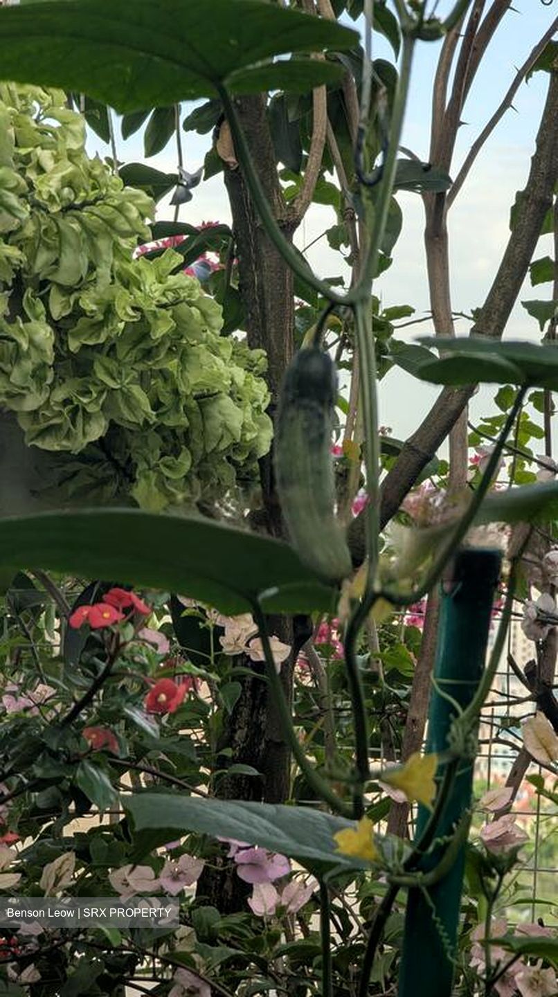 Summerdale (D22), Condominium #479998991